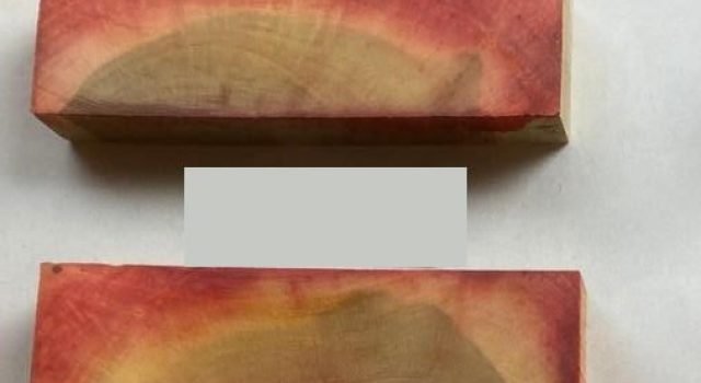 test reveladores-min